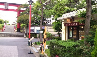 Top Of ベッ甲イソガイ Top Of ベッ甲イソガイ