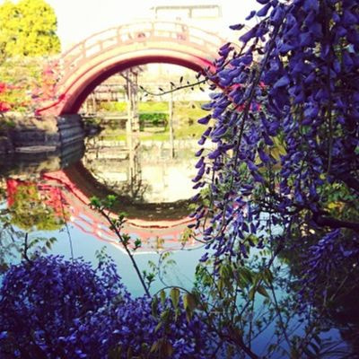 店舗案内 亀戸店 Of ベッ甲イソガイ 店舗案内 亀戸店 Of ベッ甲イソガイ